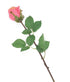Artificial 52cm Single Stem Closed Bud Coral Pink Rose